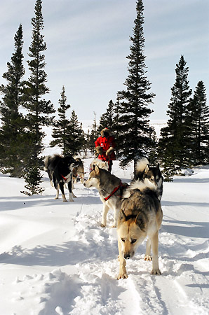 nunavik20_gd
