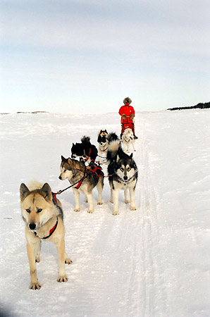 nunavik22_gd